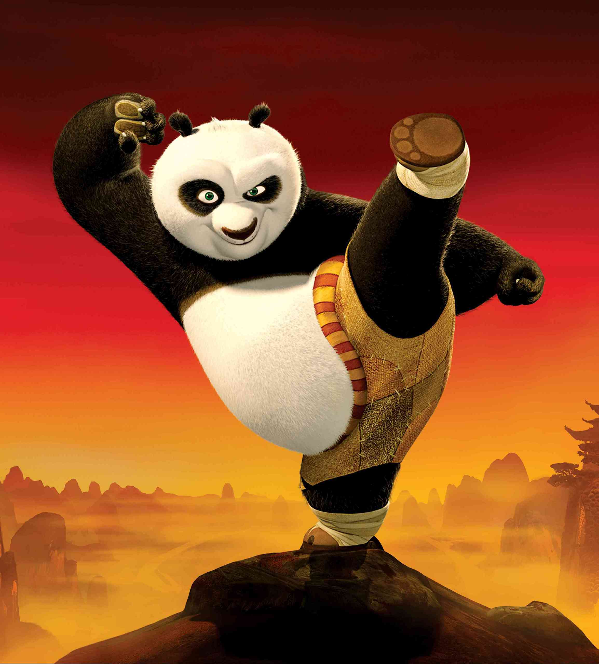 Kung-Fu-Panda-kung-fu-panda-1543315-2308-2560.jpg