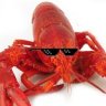 MaximumLobsters