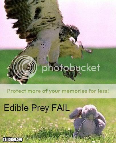 fail-owned-eagle-fail.jpg