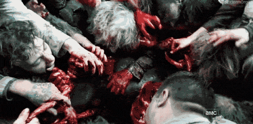 tumblr_lxo23gBwA71qdyl0ao1_500.gif