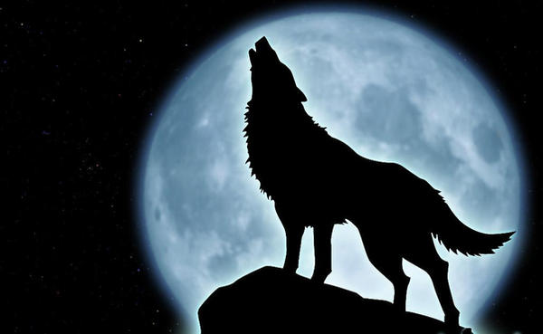 Wolf_howling_at_the_moon_by_hmmmm1797.jpg