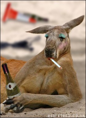 drunkkangaroo.jpg