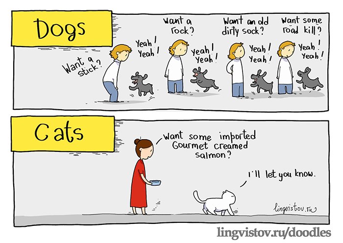 funny-picture-cats-dogs-difference.jpg